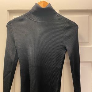 Everlane Turtleneck Merino Sweater